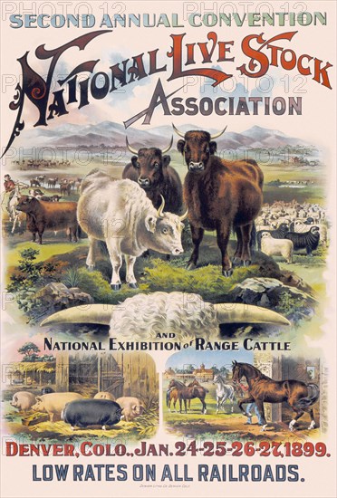 National Live Stock Association Convention