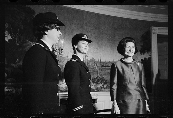 Lady Bird With Army Nurses