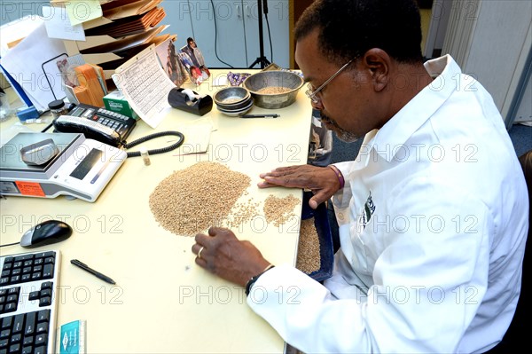 A U.S. Department of Agriculture (USDA) Grain Inspection