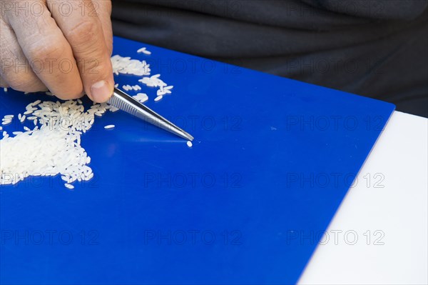 A U.S. Department of Agriculture (USDA) Grain Inspection