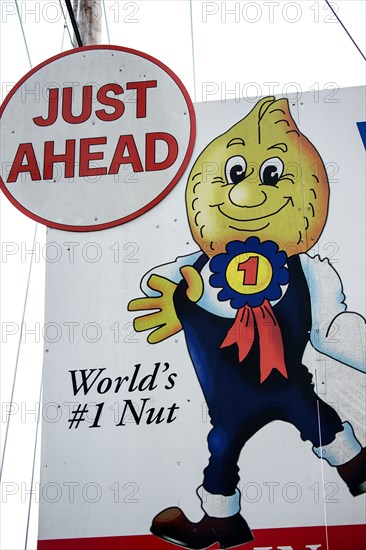 Peanut themed sign in Wakefield, VA, on Dec. 20, 2015.