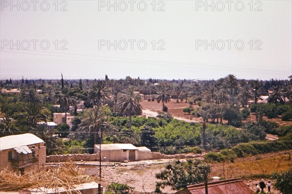 View of Jericho in the West Bank (1965)
