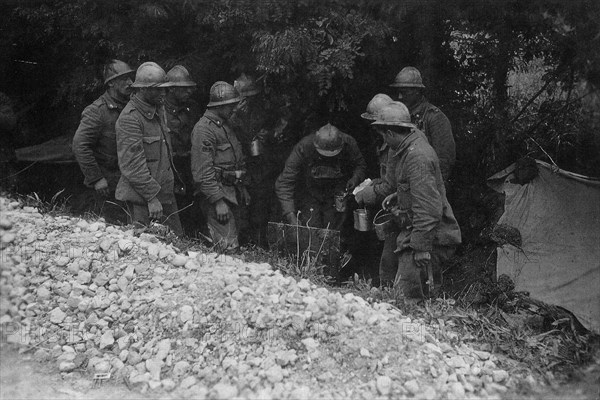 Distribution of the rations