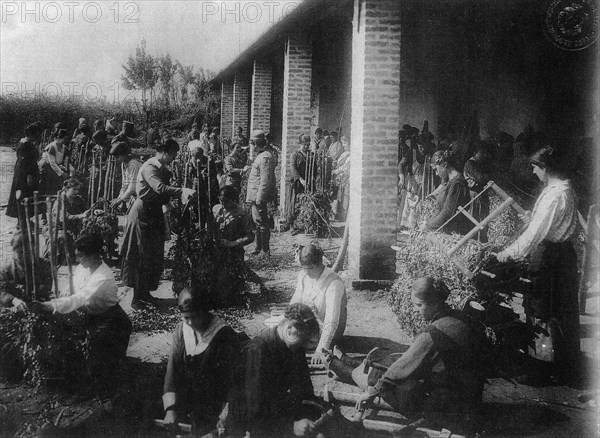 Construction of the Treviso entrenched camp