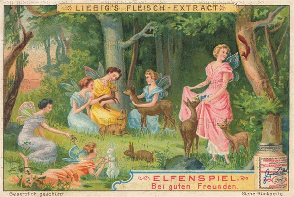 Elfenspiel Series