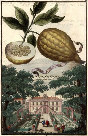 Cedro Da Fiorenza And The Heymendorf Castle Of Lord Chr