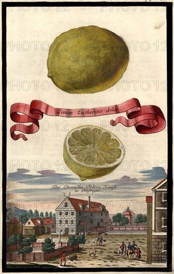 Limon Zucherino Dolce And The Ebner Manor House In Erlastegen