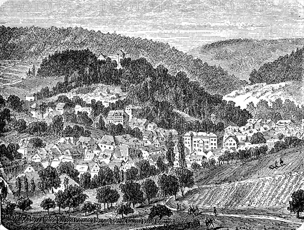 The Town Of Sonneberg In Thuringia