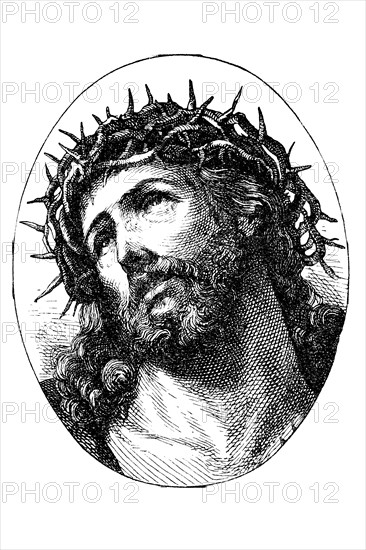 Head Of Christ With Crown Of Thorns