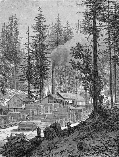 Sawmill In California