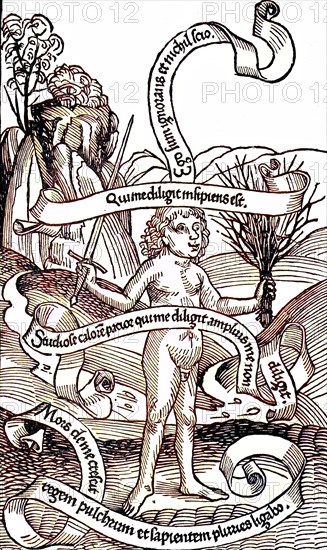 Allegory Of Ignorance