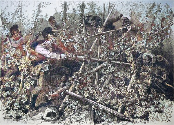 Battle Of Bavarian Infantry With Turcos And Znaben In The Hop Fields Near Weissenburg