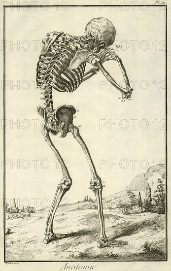 Skeleton Hunched Over