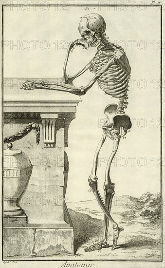 Skeleton Leans on Wall