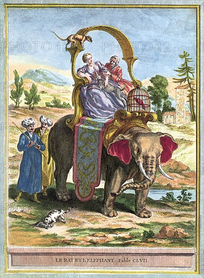 Elephant Ride