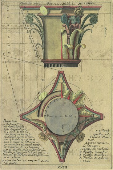 Two Column Capital Views