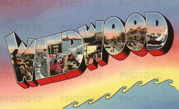 Wildwood Greetings