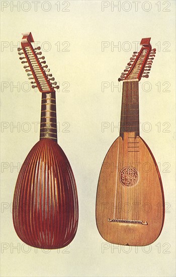 Rare Italian Lute