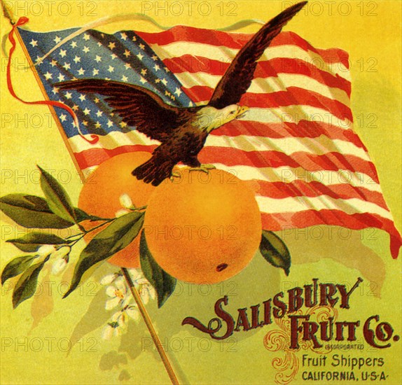 Eagle Fruit Label.