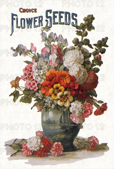 Flowers in Vase.