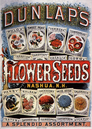 Dunlaps Flower Seeds.