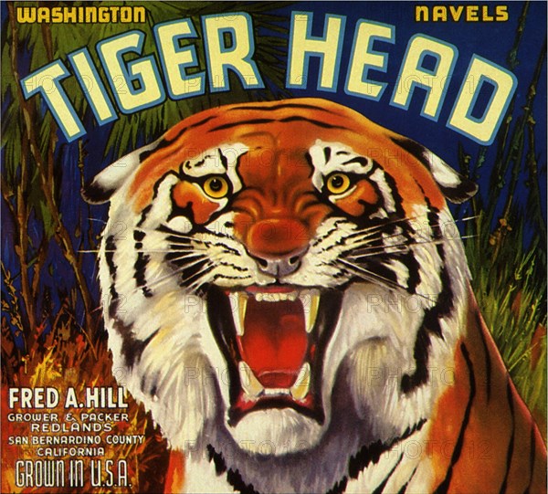 Tiger Fruit Label.