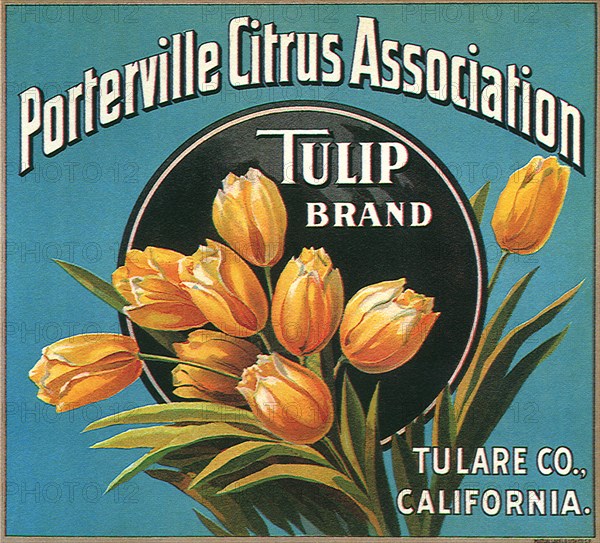 Tulips on Label.