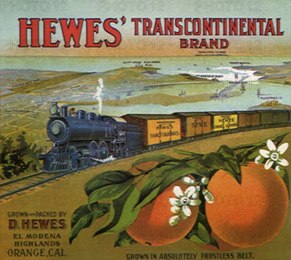 Train Fruit Label.