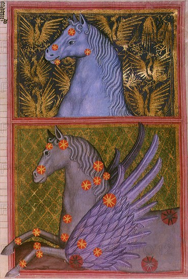 Pegasus and Equuleus.