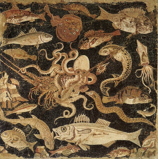 Mellenistic Fish Mosaic.