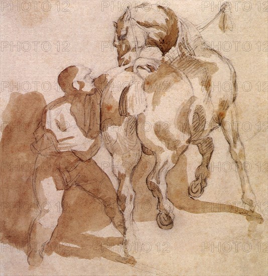 Stable Boy Grooming a Horse.