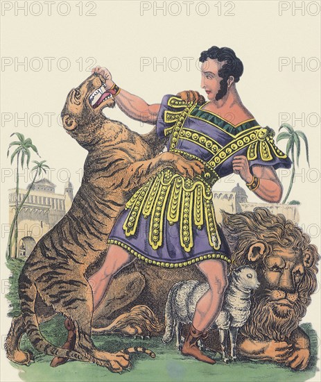 Tiger Tamer.