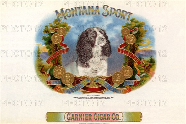 Montana Sport.