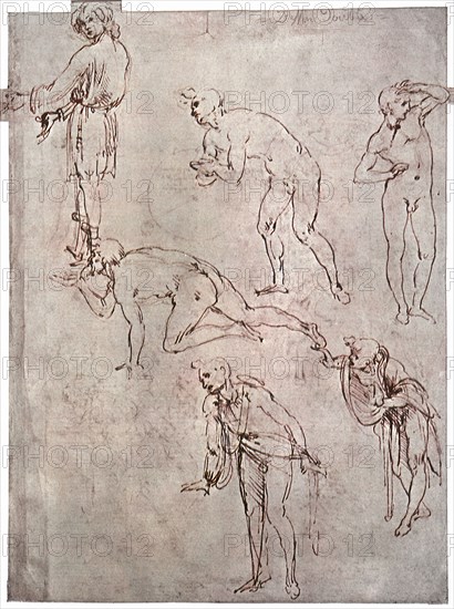 Studies for the Adoration of the Magi.