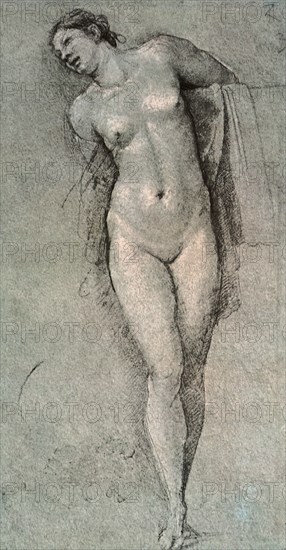 Standing Nude Female Figure, Represented Frontally.