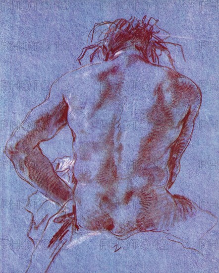 Male Nude from the Back.