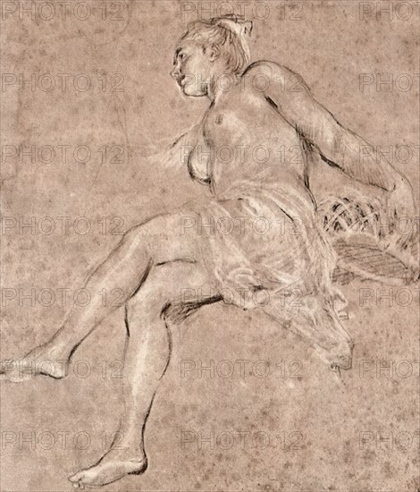 Flora.