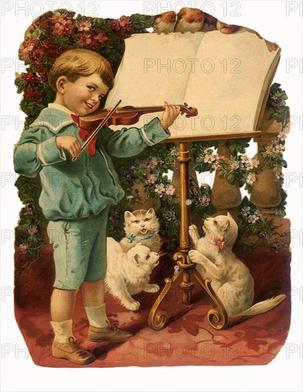 Boy plays Violin with Cats.