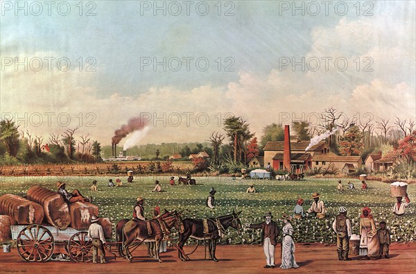A Cotton Plantation on the Mississippi.