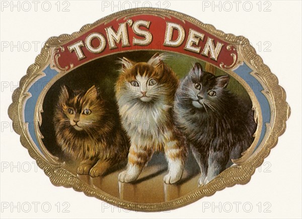 Tom's Den Cigar Label with Cats.