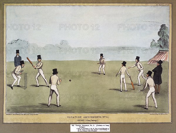 A game of Cricket.