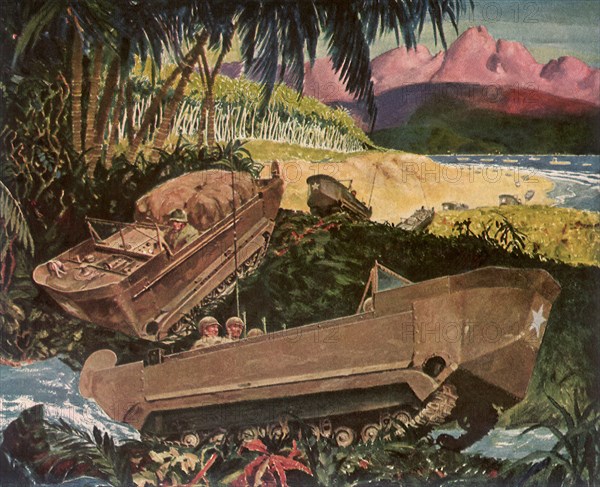 Studebaker Weasels on Pacific Island.