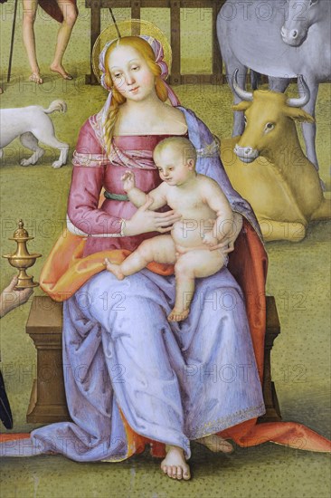 Città della Pieve (Italy, Umbria, province of Perugia), Oratory of Santa Maria dei Bianchi, Perugino, Adoration of the Magi, fresco dimensions 700x650 cm, dating 1504. Detail