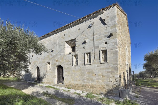 Cingoli (Marche - Mc)