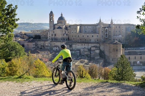 Urbino (Marche - PU)