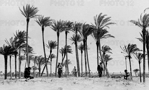 le tourisme colonial dans les années 1930 : moments de voyages organisés par touring in tripolitania. 1937