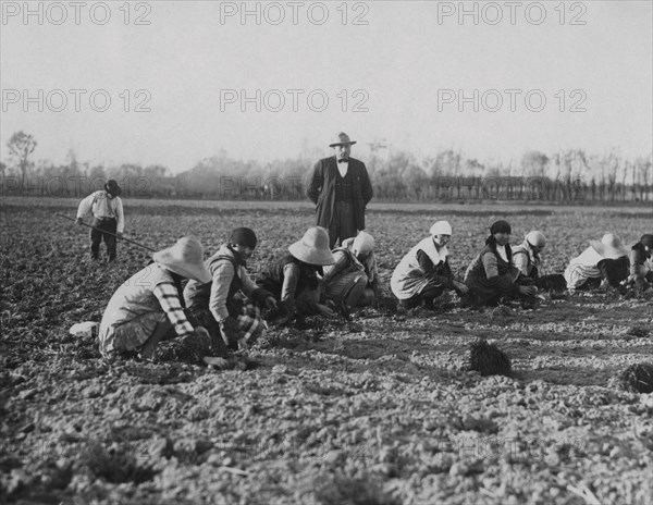 la transformation du pays créée par la formation de grandes et moyennes concentrations industrielles coexiste avec des aspects d'extrême retard, surtout dans le monde de l'agriculture. un groupe de mondins effectue le repiquage du riz à lomellina. 1915-40