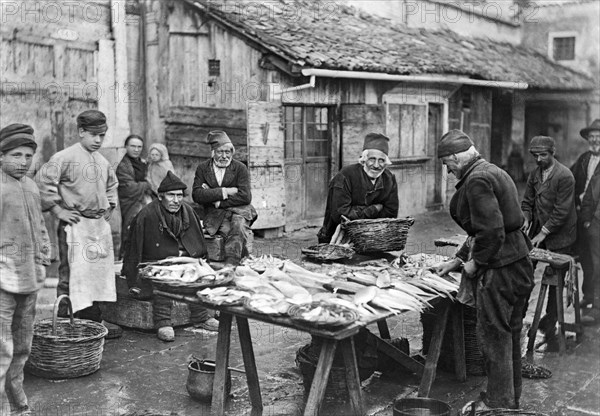 italy, veneto, chioggia, fish market