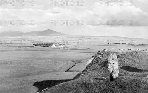 italy, lazio, roman countryside view from via appia, colli albani about 1880
autor: anderson