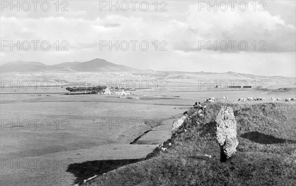 italy, lazio, roman countryside view from via appia, colli albani about 1880 
autor: anderson